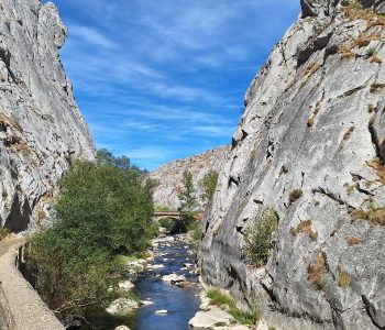 Picos (4)