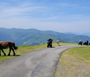 Pyreneeën 2